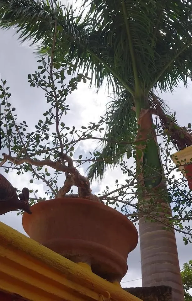 Hermosa Casa Cuatro Recamaras Independientes Ca Mérida